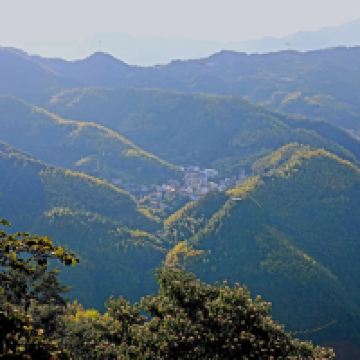評論圖片 3