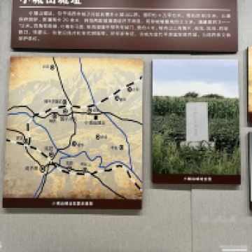 評論圖片 3