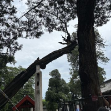 評論圖片 4