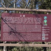 評論圖片 3