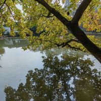 評論圖片 4
