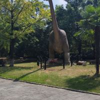 評論圖片 6