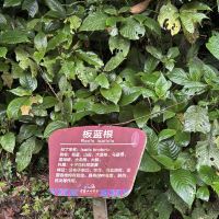 評論圖片 5