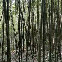 評論圖片 4