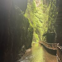 評論圖片 6