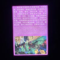 評論圖片 4