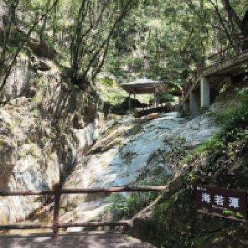 評論圖片 5