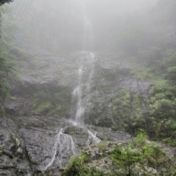 評論圖片 5