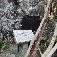 評論圖片 5