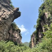 評論圖片 5