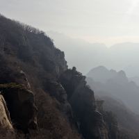 評論圖片 2