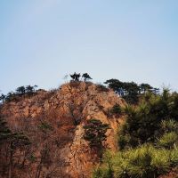 評論圖片 9