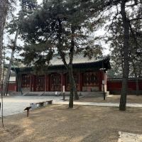 評論圖片 1