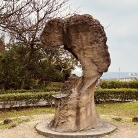 評論圖片 4
