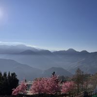 評論圖片 4
