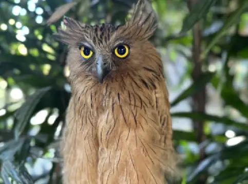 Hidden Mini Zoo Bali