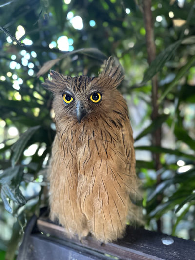 Hidden Mini Zoo Bali