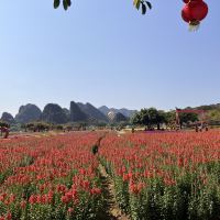 評論圖片 4