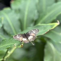 評論圖片 3