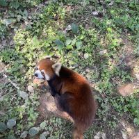 評論圖片 7