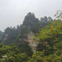 評論圖片 7