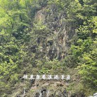 評論圖片 2