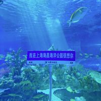 評論圖片 4