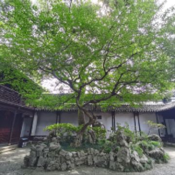 評論圖片 4