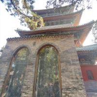 評論圖片 3