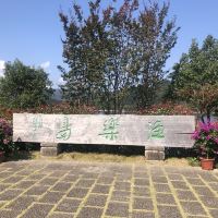 評論圖片 4