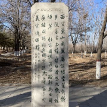 評論圖片 3