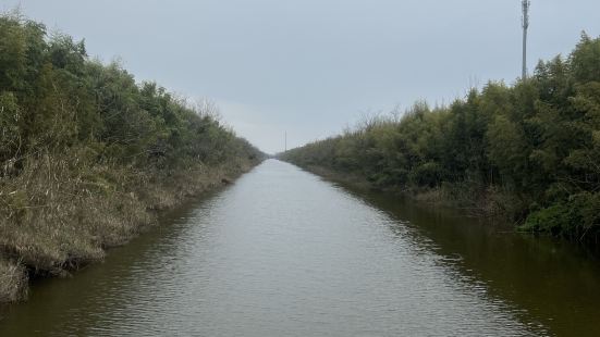 太棒的濕地公園，景色絕美，景區很大，有電瓶車，而且是隨時可以