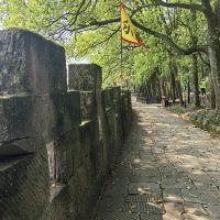評論圖片 6