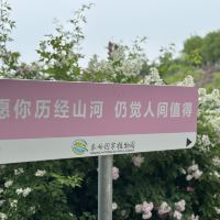 評論圖片 9