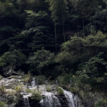 評論圖片 8