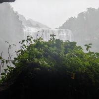 評論圖片 4