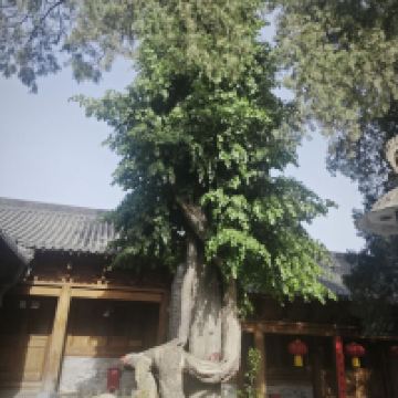 評論圖片 6