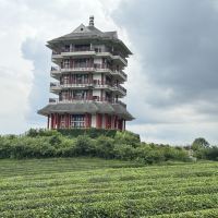 評論圖片 1