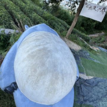 評論圖片 4