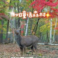 評論圖片 1