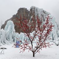 評論圖片 5