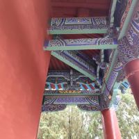 評論圖片 2