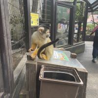 評論圖片 4