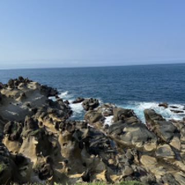 評論圖片 5