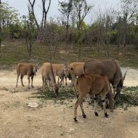 評論圖片 3