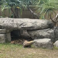 評論圖片 6