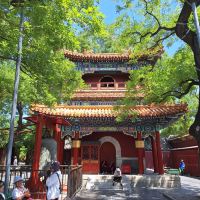 評論圖片 7