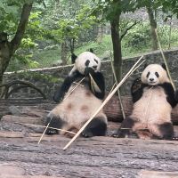 評論圖片 5