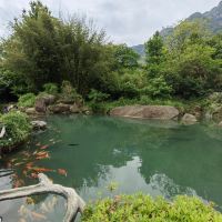 評論圖片 4