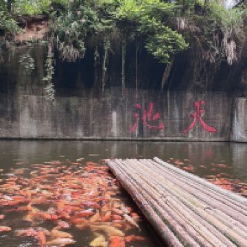 評論圖片 4
